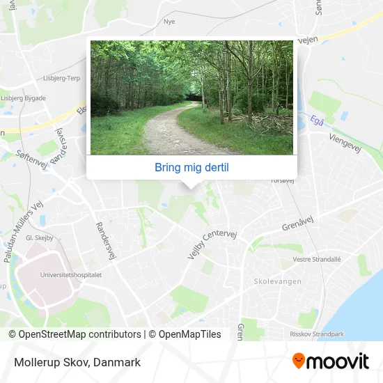 Mollerup Skov kort