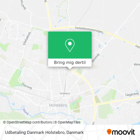 Udbetaling Danmark Holstebro kort