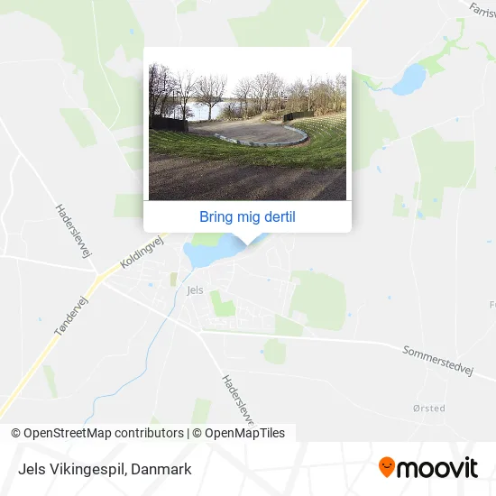 Jels Vikingespil kort