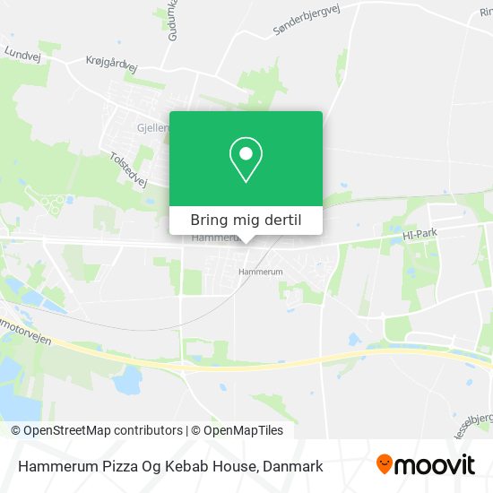 Hammerum Pizza Og Kebab House kort