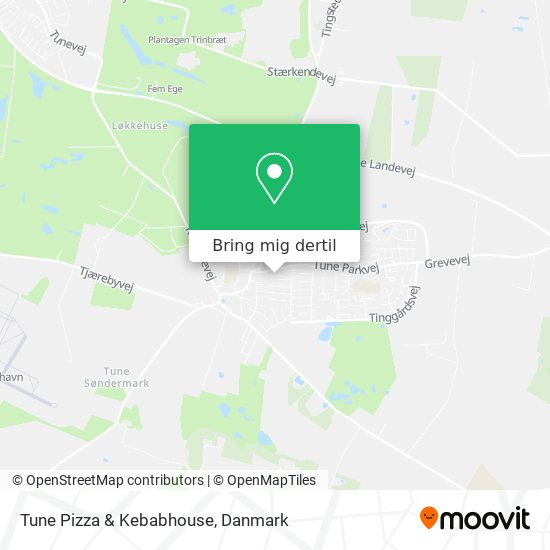 Tune Pizza & Kebabhouse kort