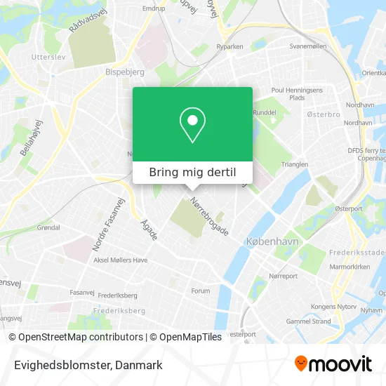 Evighedsblomster kort