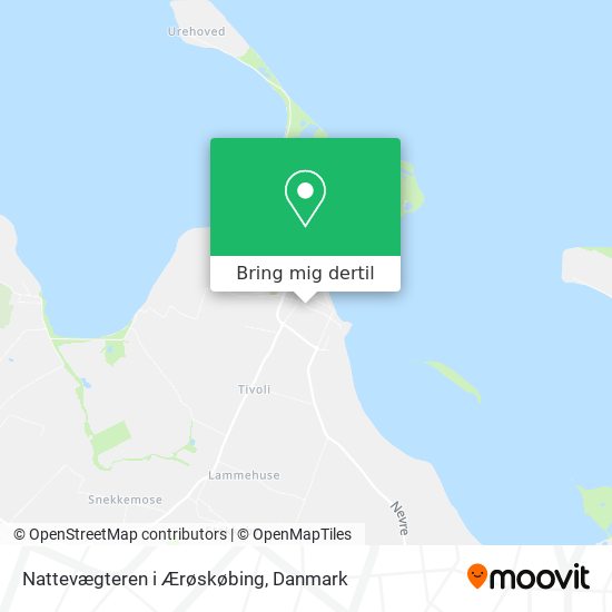 Nattevægteren i Ærøskøbing kort