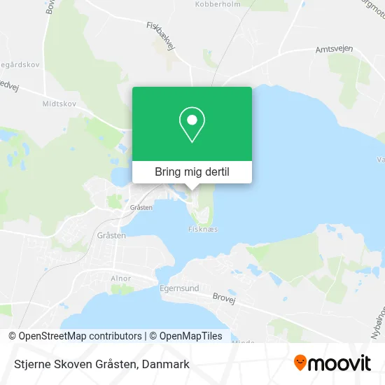 Stjerne Skoven Gråsten kort