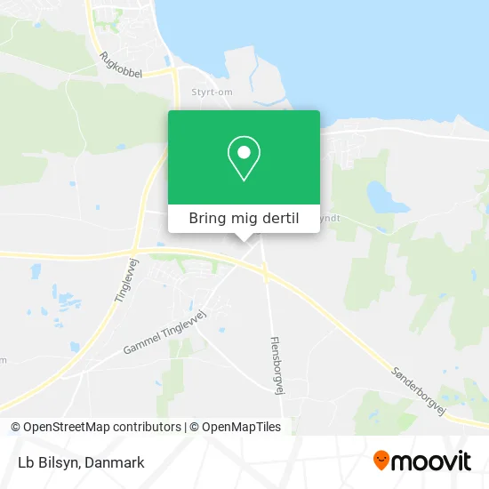 Lb Bilsyn kort