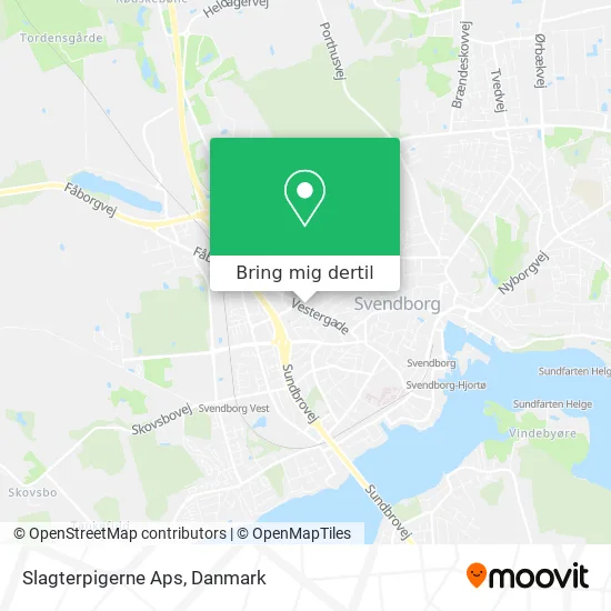 Slagterpigerne Aps kort