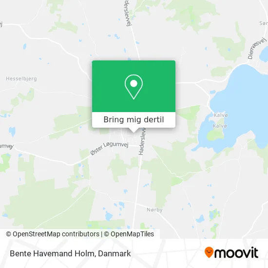 Bente Havemand Holm kort