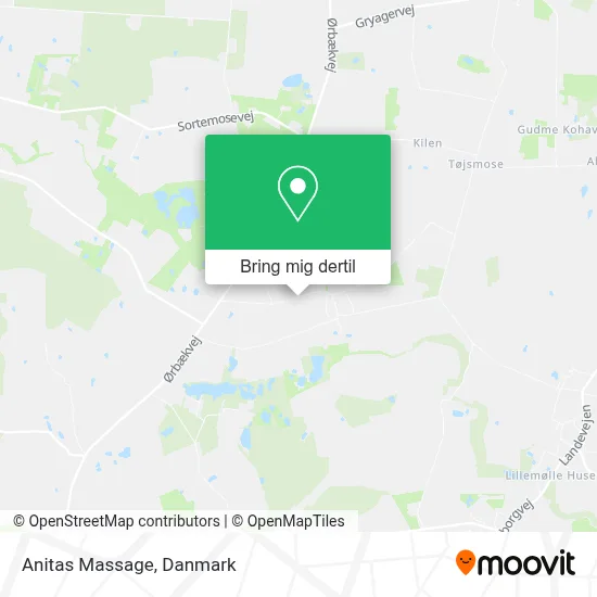 Anitas Massage kort