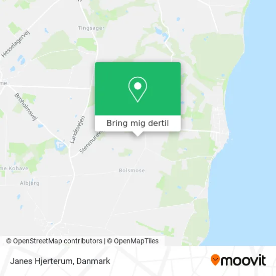 Janes Hjerterum kort