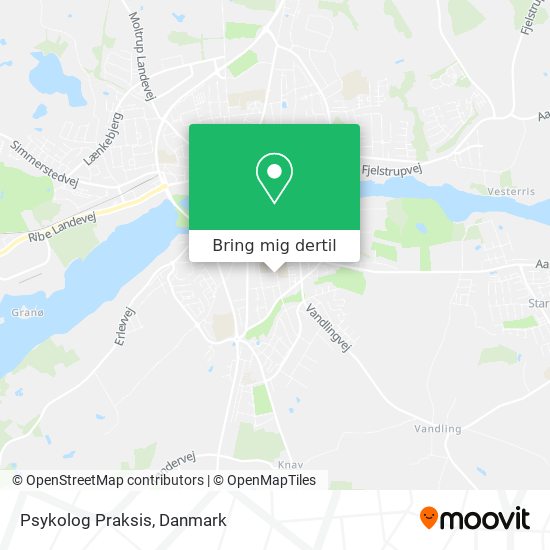 Psykolog Praksis kort