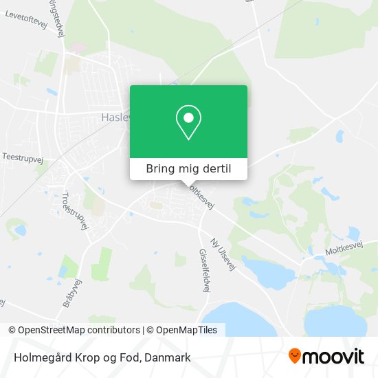 Holmegård Krop og Fod kort