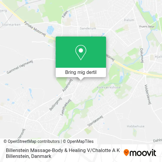 Billenstein Massage-Body & Healing V / Chalotte A K Billenstein kort