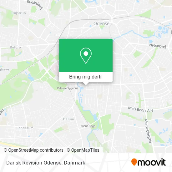 Dansk Revision Odense kort