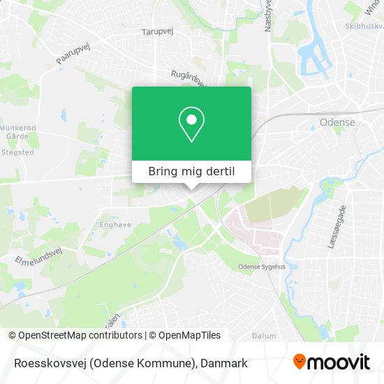Roesskovsvej (Odense Kommune) kort