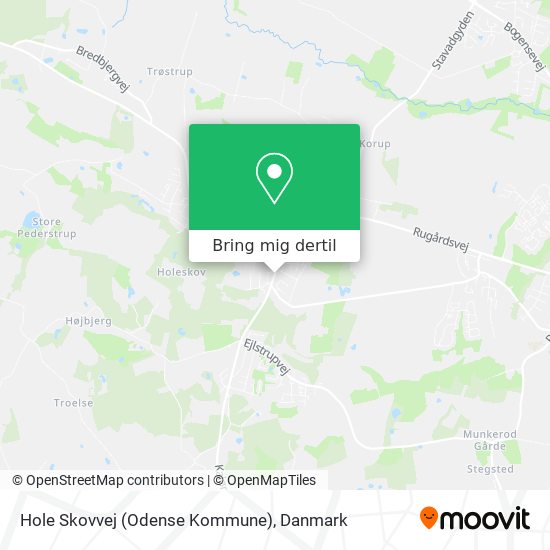 Hole Skovvej (Odense Kommune) kort