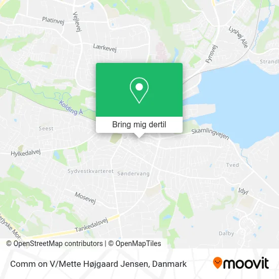 Comm on V / Mette Højgaard Jensen kort