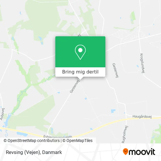 Revsing (Vejen) kort