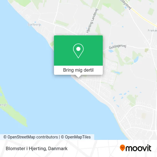 Blomster i Hjerting kort