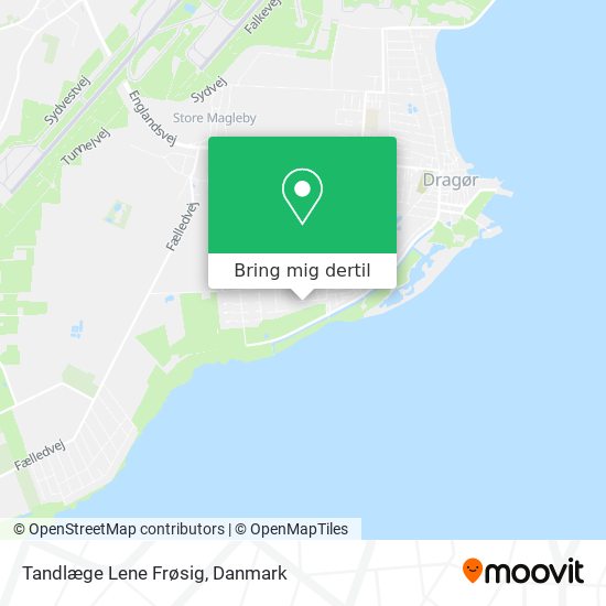 Tandlæge Lene Frøsig kort