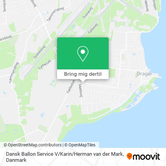 Dansk Ballon Service V / Karin / Herman van der Mark kort
