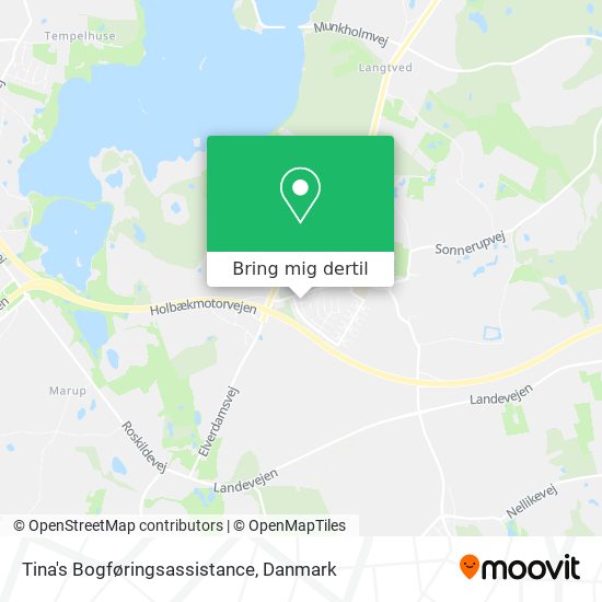 Tina's Bogføringsassistance kort