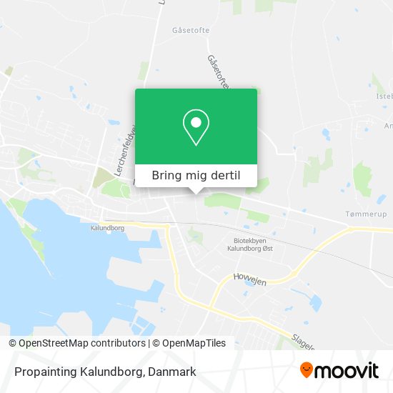 Propainting Kalundborg kort