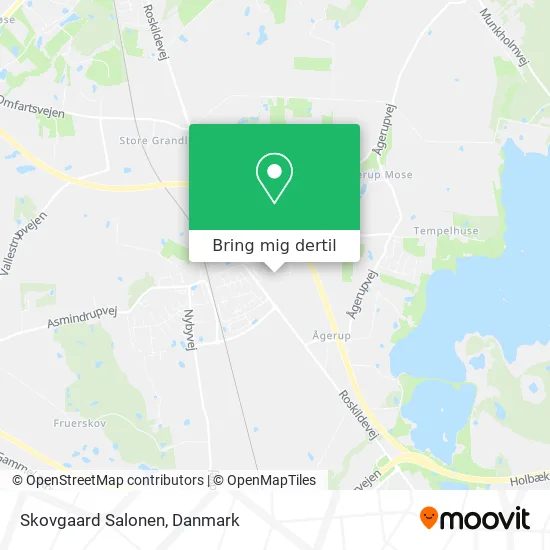 Skovgaard Salonen kort