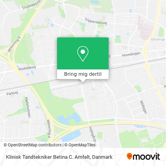 Klinisk Tandtekniker Betina C. Amfelt kort