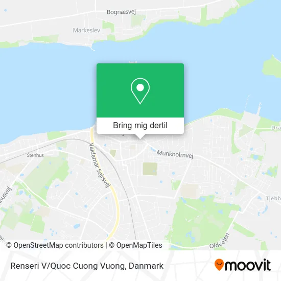 Renseri V/Quoc Cuong Vuong kort