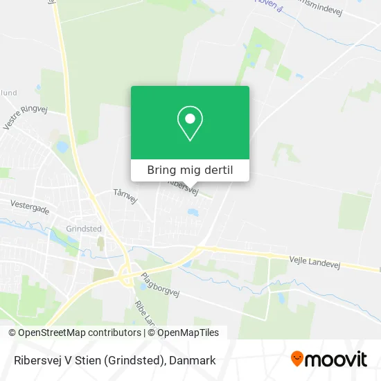 Ribersvej V Stien (Grindsted) kort