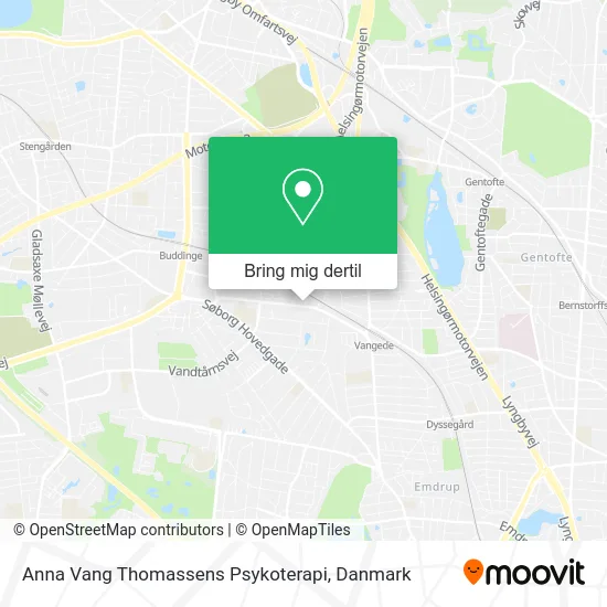 Anna Vang Thomassens Psykoterapi kort