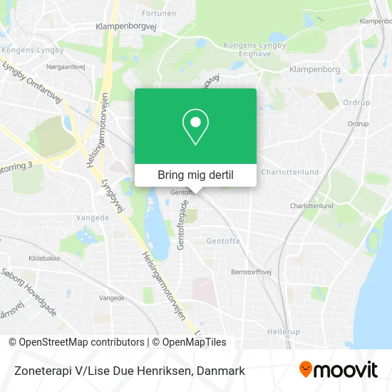 Zoneterapi V / Lise Due Henriksen kort