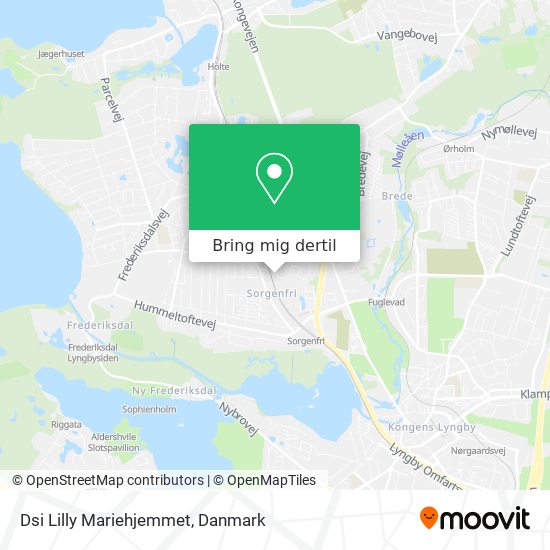 Dsi Lilly Mariehjemmet kort
