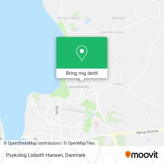 Psykolog Lisbeth Hansen kort