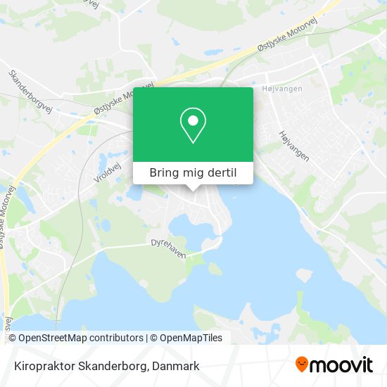 Kiropraktor Skanderborg kort