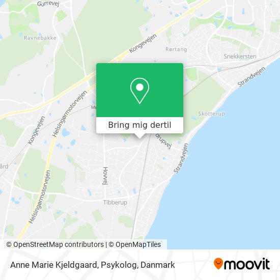 Anne Marie Kjeldgaard, Psykolog kort