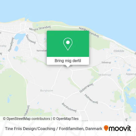 Tine Friis Design / Coaching / Fordifamilien kort