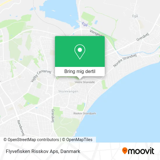 Flyvefisken Risskov Aps kort