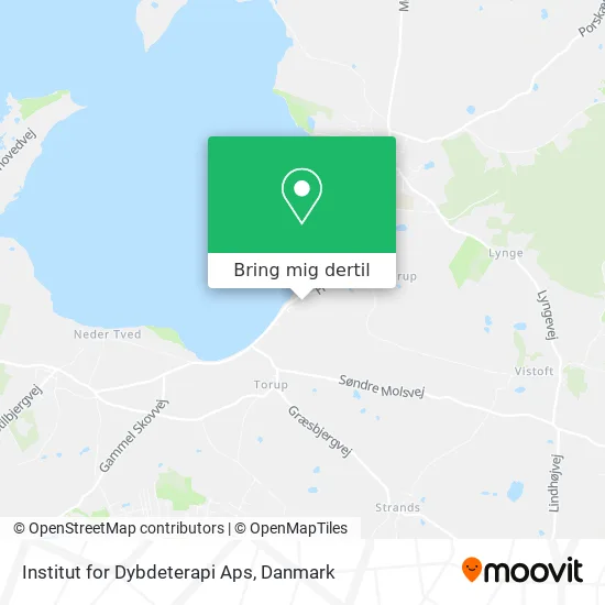 Institut for Dybdeterapi Aps kort