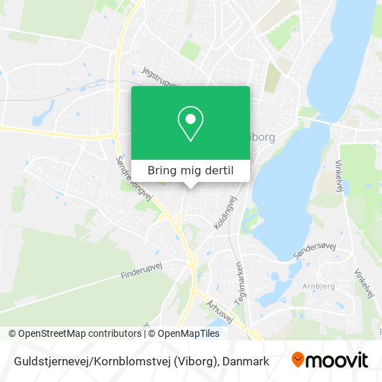 Guldstjernevej / Kornblomstvej (Viborg) kort