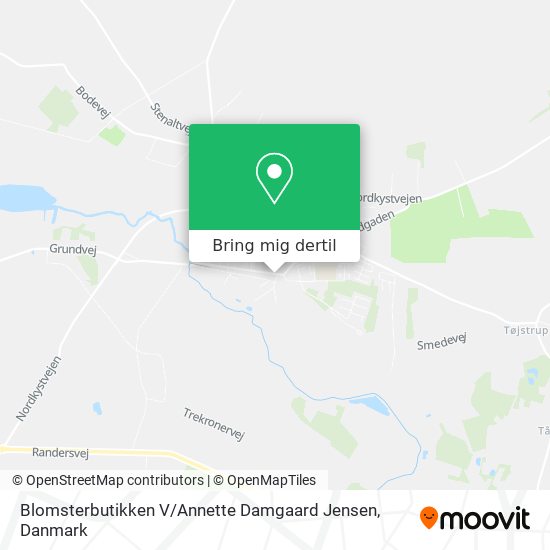 Blomsterbutikken V / Annette Damgaard Jensen kort