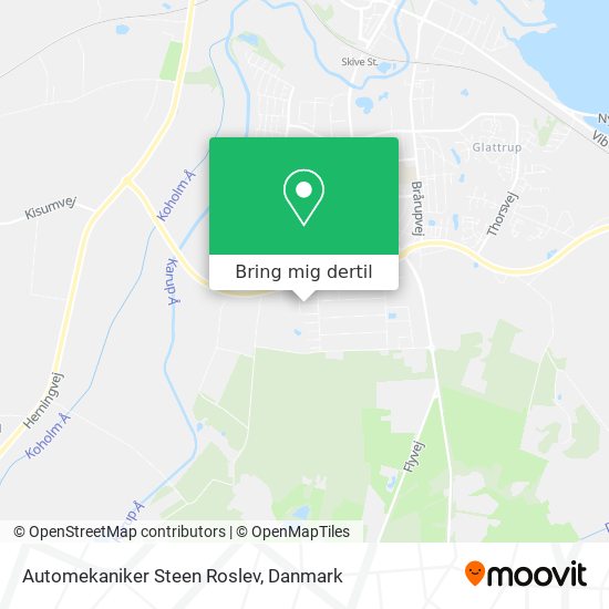 Automekaniker Steen Roslev kort