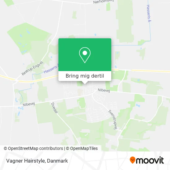 Vagner Hairstyle kort