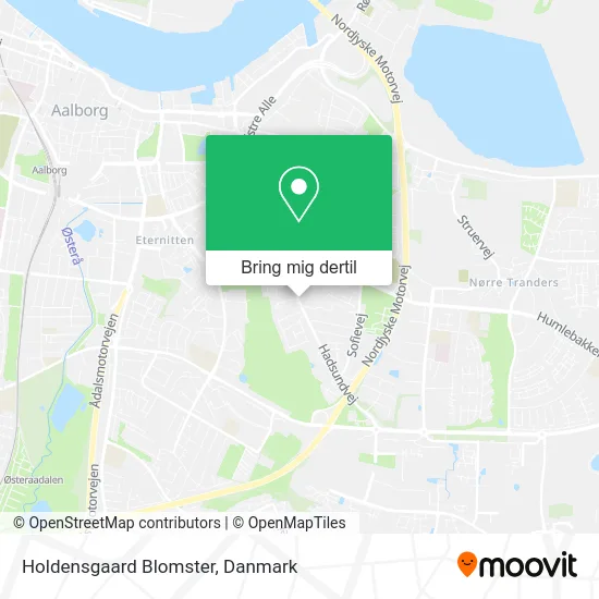 Holdensgaard Blomster kort