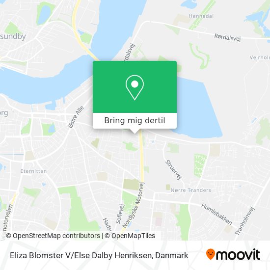 Eliza Blomster V / Else Dalby Henriksen kort