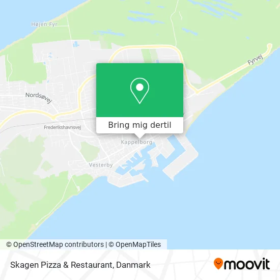 Skagen Pizza & Restaurant kort