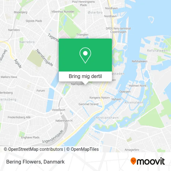 Bering Flowers kort