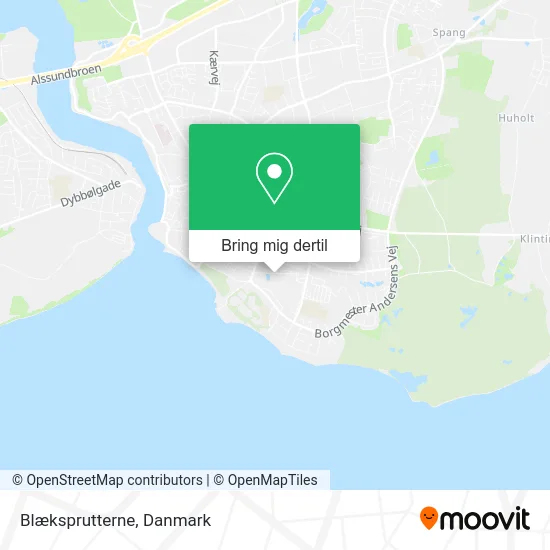 Blæksprutterne kort