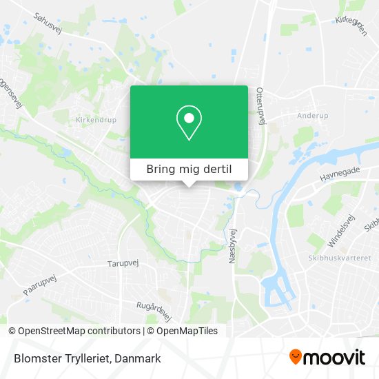 Blomster Trylleriet kort