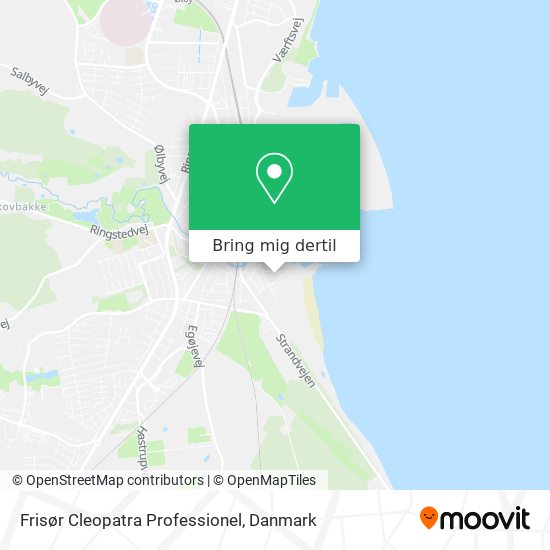Frisør Cleopatra Professionel kort